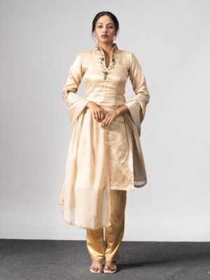 Metallic organza kurti set